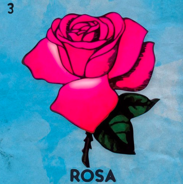 rosa